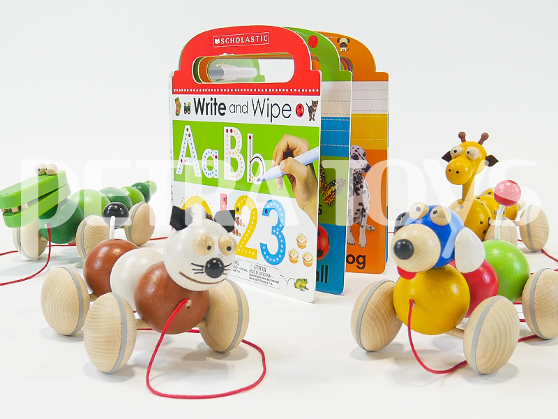 Wooden pull toys